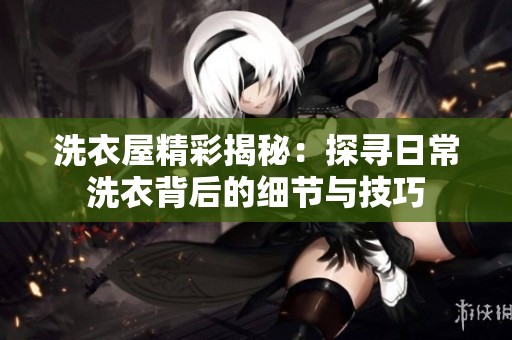 洗衣屋精彩揭秘：探寻日常洗衣背后的细节与技巧
