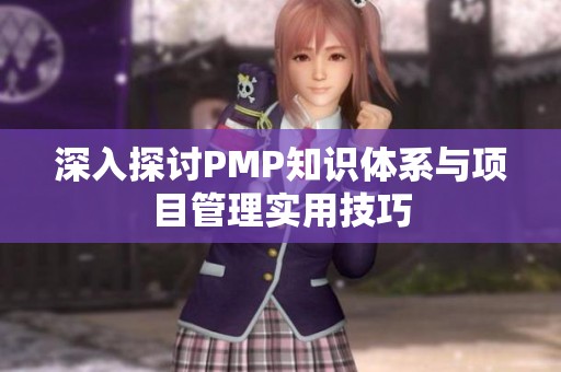 深入探讨PMP知识体系与项目管理实用技巧