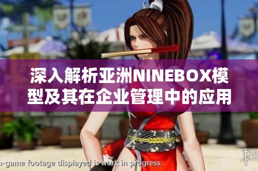 深入解析亚洲NINEBOX模型及其在企业管理中的应用