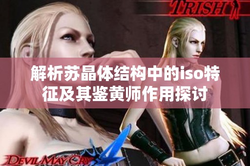 解析苏晶体结构中的iso特征及其鉴黄师作用探讨