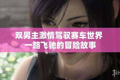 双男主激情驾驭赛车世界 一路飞驰的冒险故事