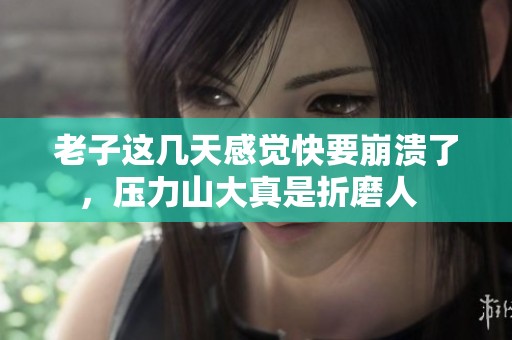老子这几天感觉快要崩溃了，压力山大真是折磨人  