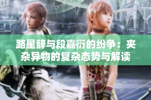 路星辞与段嘉衍的纷争：夹杂异物的复杂态势与解读