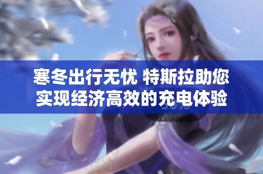 寒冬出行无忧 特斯拉助您实现经济高效的充电体验