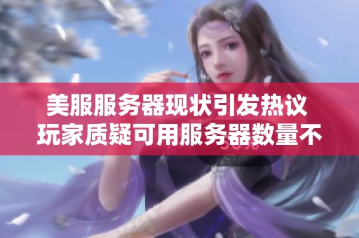 美服服务器现状引发热议 玩家质疑可用服务器数量不明