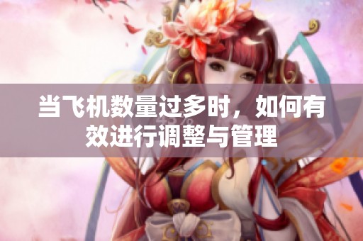 当飞机数量过多时，如何有效进行调整与管理