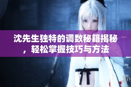 沈先生独特的调数秘籍揭秘，轻松掌握技巧与方法