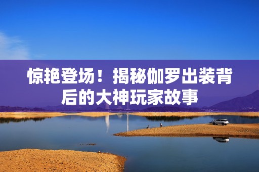 惊艳登场！揭秘伽罗出装背后的大神玩家故事