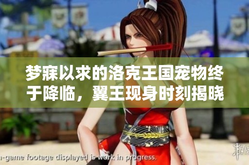 梦寐以求的洛克王国宠物终于降临，翼王现身时刻揭晓