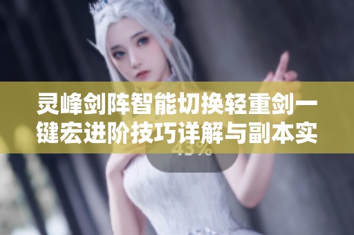 灵峰剑阵智能切换轻重剑一键宏进阶技巧详解与副本实战分享