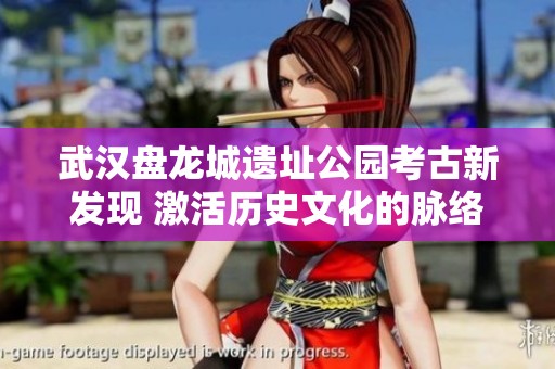 武汉盘龙城遗址公园考古新发现 激活历史文化的脉络与记忆