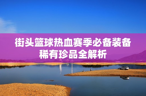 街头篮球热血赛季必备装备稀有珍品全解析