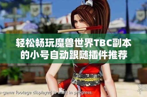 轻松畅玩魔兽世界TBC副本的小号自动跟随插件推荐