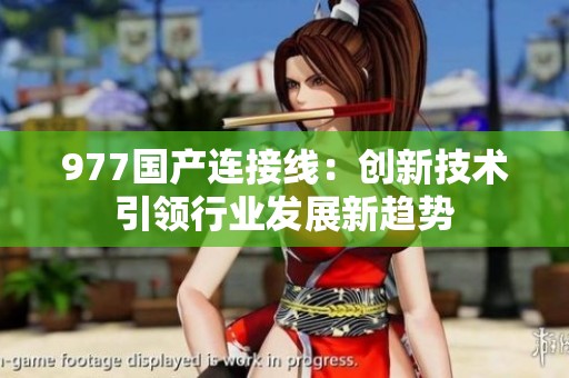 977国产连接线：创新技术引领行业发展新趋势