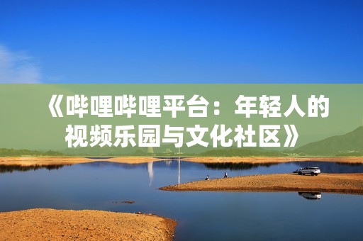 《哔哩哔哩平台：年轻人的视频乐园与文化社区》