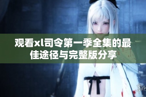 观看xl司令第一季全集的最佳途径与完整版分享