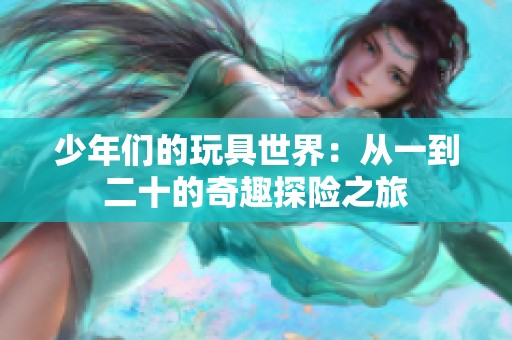 少年们的玩具世界：从一到二十的奇趣探险之旅