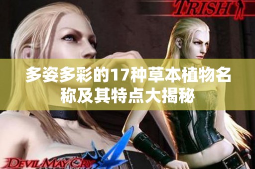 多姿多彩的17种草本植物名称及其特点大揭秘