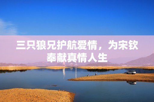 三只狼兄护航爱情，为宋钦奉献真情人生
