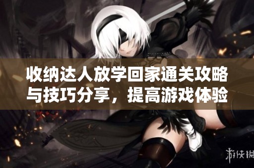 收纳达人放学回家通关攻略与技巧分享，提高游戏体验的方法解析