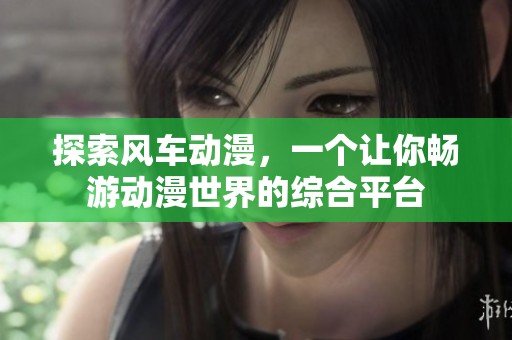 探索风车动漫，一个让你畅游动漫世界的综合平台