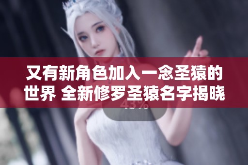 又有新角色加入一念圣猿的世界 全新修罗圣猿名字揭晓引发期待