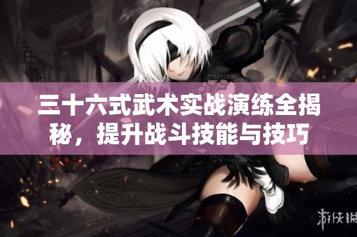 三十六式武术实战演练全揭秘，提升战斗技能与技巧