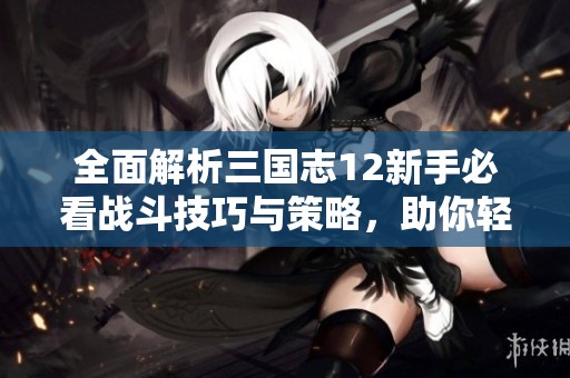 全面解析三国志12新手必看战斗技巧与策略，助你轻松掌握高效作战方法