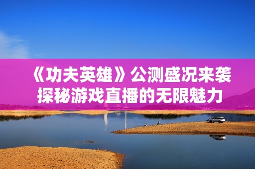 《功夫英雄》公测盛况来袭 探秘游戏直播的无限魅力与精彩瞬间