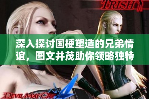 深入探讨国梗塑造的兄弟情谊，图文并茂助你领略独特的国情义和深厚情感