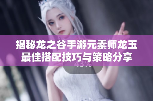 揭秘龙之谷手游元素师龙玉最佳搭配技巧与策略分享