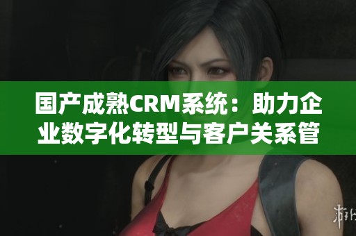 国产成熟CRM系统：助力企业数字化转型与客户关系管理升级