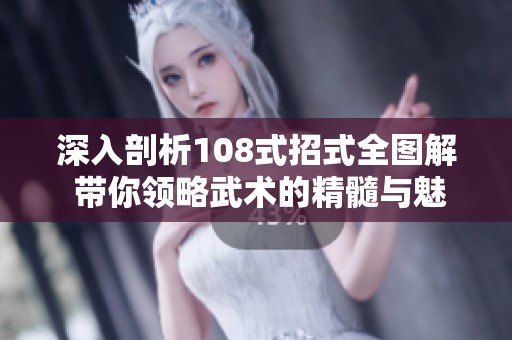 深入剖析108式招式全图解 带你领略武术的精髓与魅力