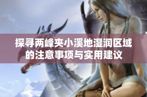 探寻两峰夹小溪地湿润区域的注意事项与实用建议