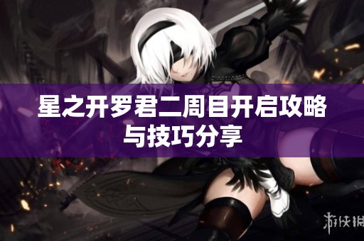 星之开罗君二周目开启攻略与技巧分享