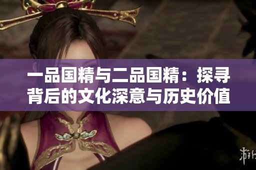 一品国精与二品国精：探寻背后的文化深意与历史价值