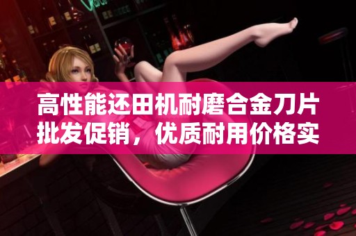 高性能还田机耐磨合金刀片批发促销，优质耐用价格实惠