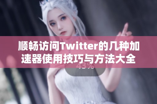 顺畅访问Twitter的几种加速器使用技巧与方法大全