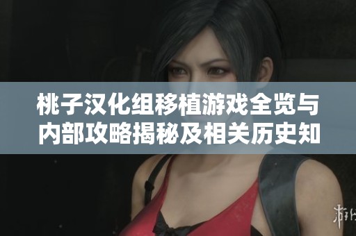 桃子汉化组移植游戏全览与内部攻略揭秘及相关历史知识分享
