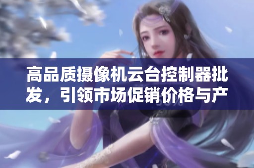 高品质摄像机云台控制器批发，引领市场促销价格与产地选择