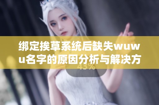 绑定挨草系统后缺失wuwu名字的原因分析与解决方案探讨