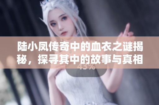 陆小凤传奇中的血衣之谜揭秘，探寻其中的故事与真相