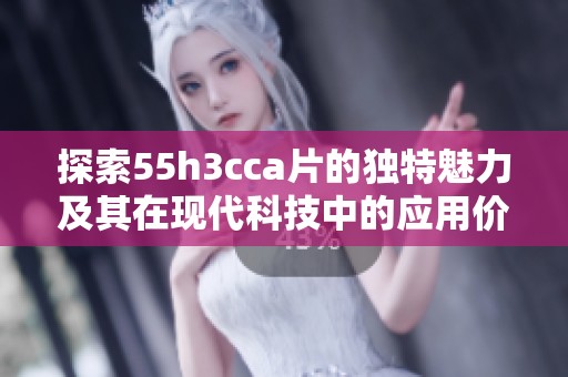 探索55h3cca片的独特魅力及其在现代科技中的应用价值