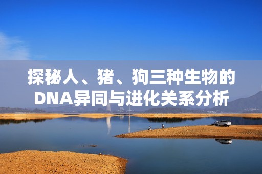 探秘人、猪、狗三种生物的DNA异同与进化关系分析