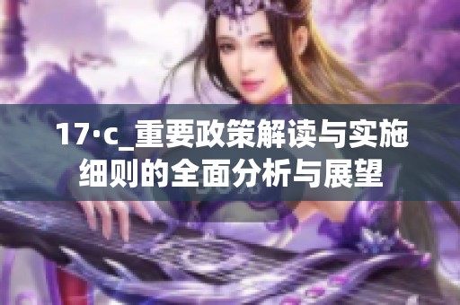 17·c_重要政策解读与实施细则的全面分析与展望