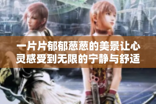 一片片郁郁葱葱的美景让心灵感受到无限的宁静与舒适