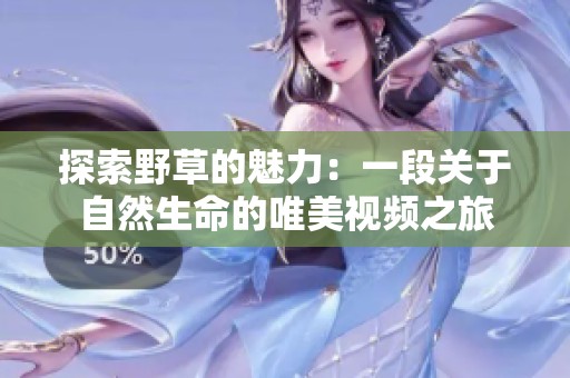探索野草的魅力：一段关于自然生命的唯美视频之旅