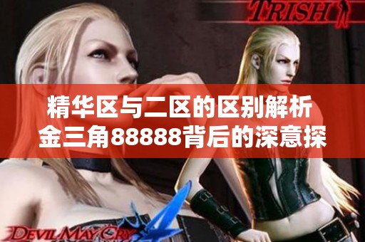 精华区与二区的区别解析 金三角88888背后的深意探讨