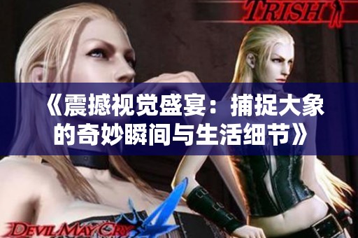 《震撼视觉盛宴：捕捉大象的奇妙瞬间与生活细节》