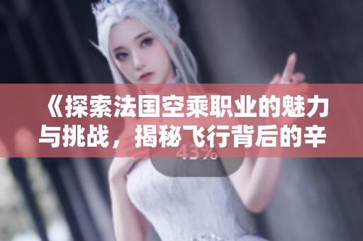 《探索法国空乘职业的魅力与挑战，揭秘飞行背后的辛勤付出》